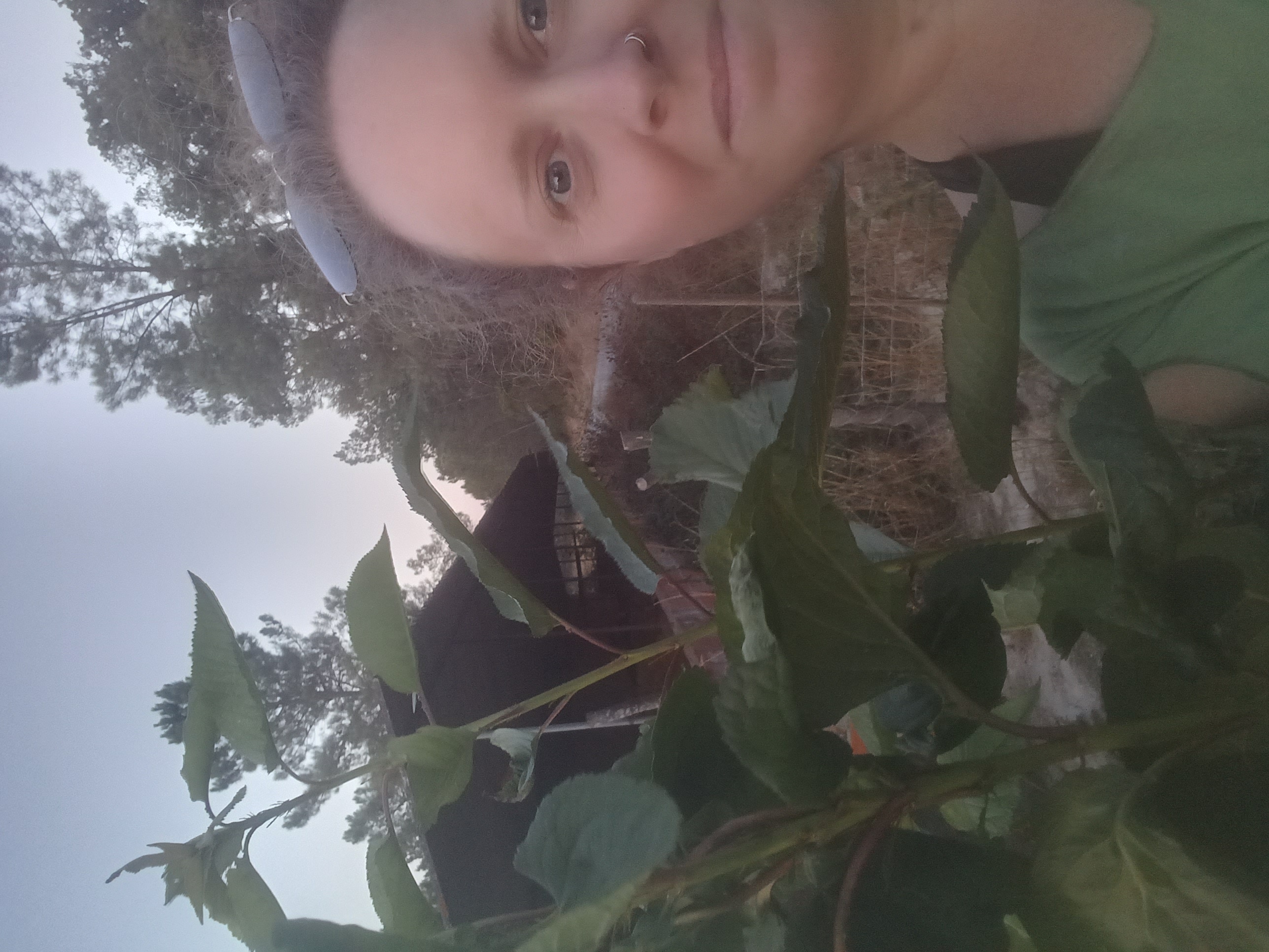 Lieke on the farm in Portugal